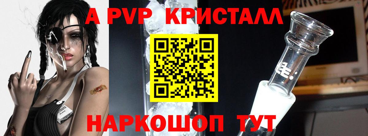 A PVP СК КРИС Гулькевичи