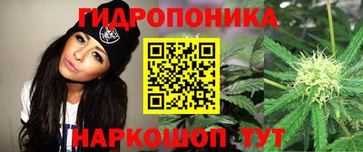 прущие крисы Малоярославец