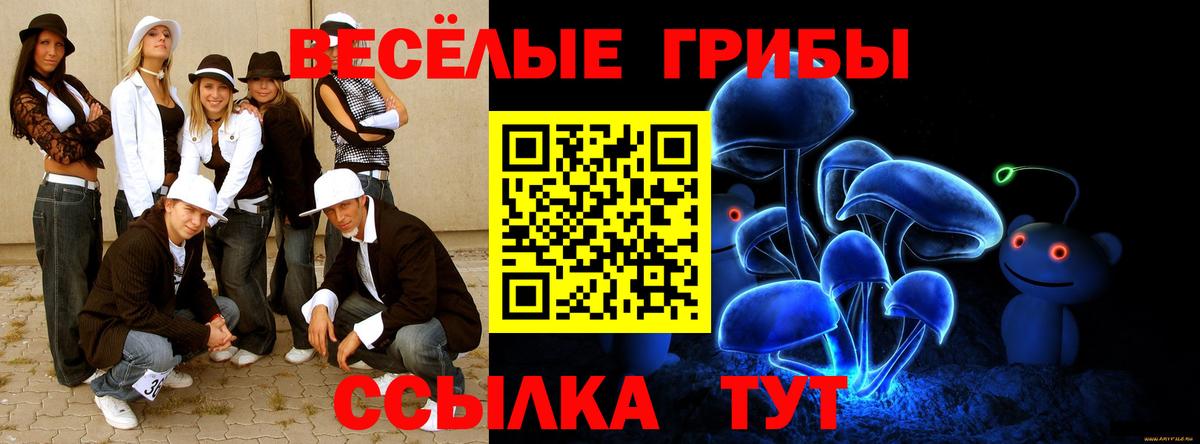 Псилоцибиновые грибы прущие грибы Гулькевичи